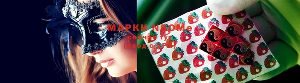 apvp Аркадак