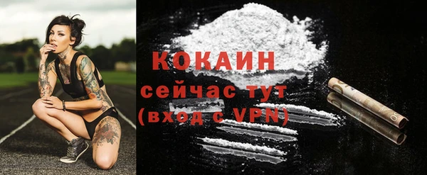 apvp Аркадак